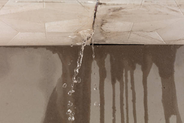 Professional Water Damage Repair technician working in Chandler, TX